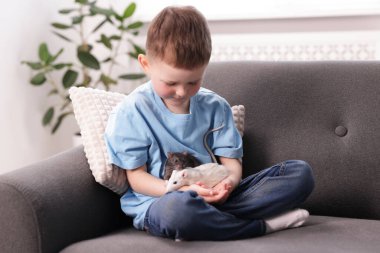 Evdeki kanepesinde fareleri olan küçük bir çocuk.