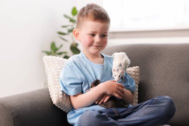 Evdeki kanepesinde fareleri olan küçük bir çocuk.