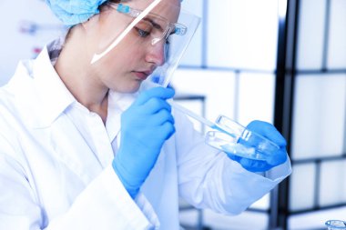 Laboratuvarda Petri kabında numuneyle çalışan bilim adamı