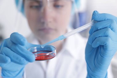 Laboratuvar ve seçici odak noktasında Petri kabında numuneyle çalışan bilim adamı