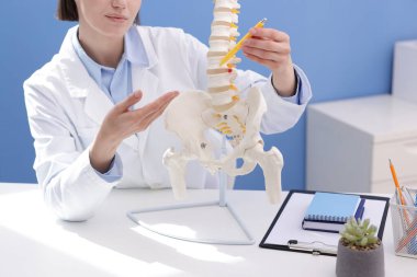 Doktor, klinikteki masadaki insan omurga modeline işaret ediyor.