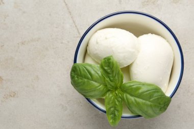 Işık masasında mozzarella peyniri ve fesleğen. Metin için boşluk