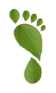 Beyaz arka planda yeşil yapraklardan yapılmış insan ayak izleri, üst manzara. Çevre bakımı, ekoloji koruması, CO2 emisyonunun azaltılması