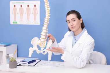 Doktor, klinikteki masadaki insan omurga modeline işaret ediyor.