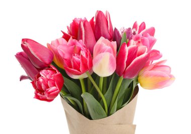 Beyaz izole güzel Lale buketi