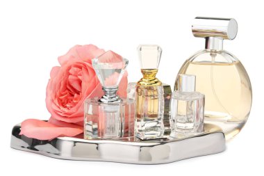 Birçok farklı parfüm şişeleri ve beyaz gül.