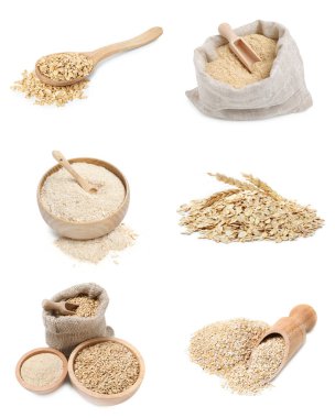 Yulaf kepeği, tam tahıllar ve yuvarlanmış taneler beyaza izole edilmiş, set.