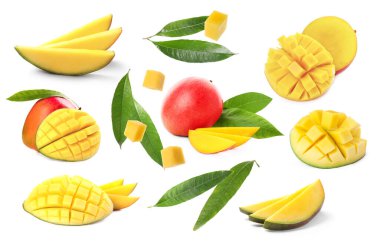 Beyaz arka planda taze mango meyveleri ve yeşil yapraklar, kolaj.