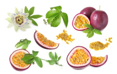 Tutku meyveleri, çiçekler ve yeşil yapraklar beyaz üzerine izole edilmiş.