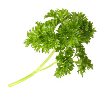 Beyaz maydanozlu taze maydanoz.