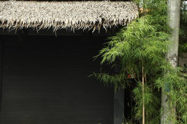 Kapalı kapılar ardında paten kepenkleri ve yeşil bitkiler var.