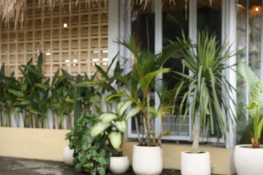 Otelin yakınındaki saksı bitkilerinin bulanık görüntüsü