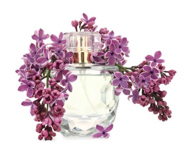 Bir şişe lüks parfüm ve beyaza ayrılmış leylak çiçekleri.