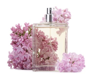 Parfüm ve güzel leylak çiçekleri beyaza izole edilmiş.