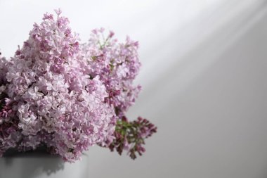 Beyaz masanın yanındaki vazoda güzel leylak çiçekleri, yakın plan. Metin için boşluk