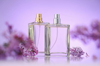 Ayna yüzeyindeki parfüm şişeleri ve leylak çiçekleri menekşe eğimli arka plan, seçici odak