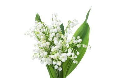 Bir buket güzel zambak vadi çiçekleri bembeyaz