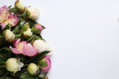 Beyaz arka planda güzel şakayık çiçekleri olan tebrik kartı, düz yatıyordu. Metin için boşluk