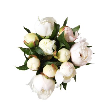 Güzel şakayık çiçeklerinden bir buket, beyaz, üst manzara