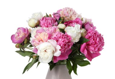 Vazodaki bir buket güzel şakayık beyaza izole edilmiş.