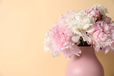 Bej arka planda vazodaki güzel şakayıklar, yakın plan. Metin için boşluk