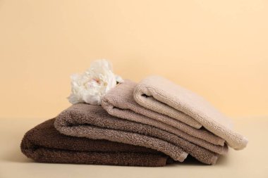 Bej arka planda yumuşak havlular ve şakayık çiçekleri