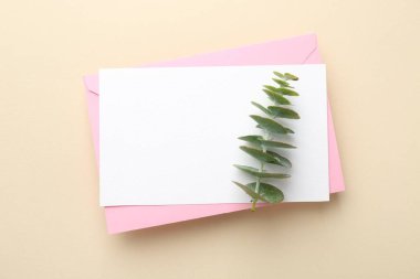 Bej arka planda boş davet kartı, zarf ve okaliptüs dalı, üst görünüm