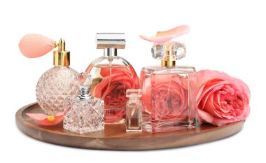 Birçok farklı parfüm şişeleri ve güller beyaz üzerine izole edilmiş.