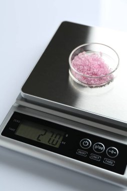 Beyaz arka planda Petri kabı ile laboratuvar ölçeği, yakın plan