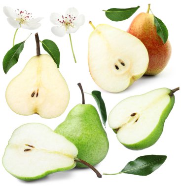 Beyaz arka planda taze armutlar ve yeşil yapraklar, kolaj.