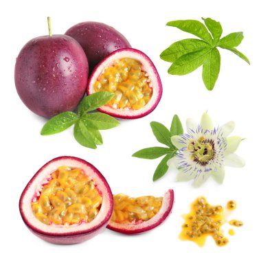 Tutku meyveleri, çiçekler ve yeşil yapraklar beyaz üzerine izole edilmiş.