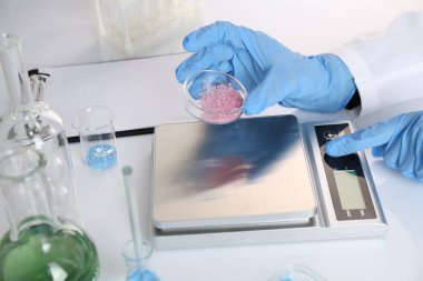 Bilim adamı, beyaz masada Petri kabı ve teraziyle çalışıyor.