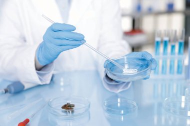 Bilim adamı Petri kabında numuneyle laboratuarda çalışıyor, yakın plan.