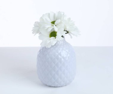 Beyaz arkaplanda seramik vazoda güzel kasımpatılar