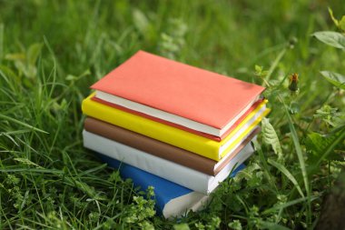 Yeşil çimenler üzerine farklı istiflenmiş kitaplar.