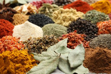 Arkaplan olarak birçok farklı baharat, yakın görünüm