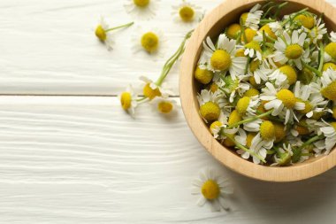 Taze papatya çiçekleri ve beyaz ahşap masada bir kase, düz uzanmış. Metin için boşluk