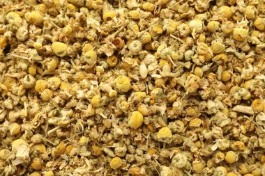 Arka plan olarak papatya çiçeklerini kurut, üst manzara