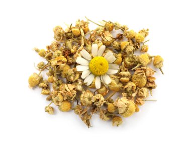 Kuru ve taze papatya çiçekleri yığını. Beyazın üstünde, manzaranın üstünde.