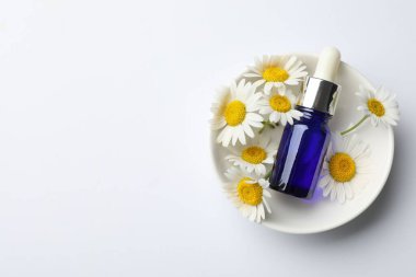 Beyaz arka planda bir şişe esaslı yağ ve papatya çiçeği. Metin için boşluk