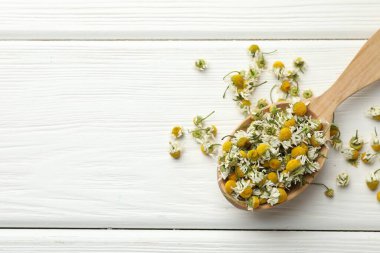 Beyaz ahşap masada kaşıkta papatya çiçekleri, üst manzara. Metin için boşluk
