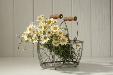 Güzel papatya çiçekleri beyaz masada metal sepetin içinde