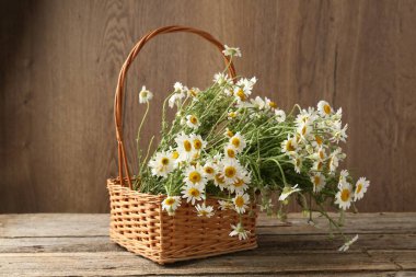 Güzel papatya çiçekleri hasır sepetin içinde ahşap masanın üzerinde