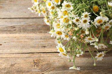 Güzel papatya çiçekleri sepetin içinde ahşap masanın üstünde, manzaranın üstünde. Metin için boşluk