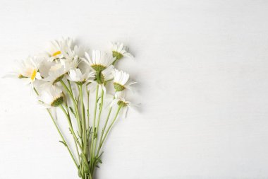 Beyaz ahşap masada bir sürü güzel papatya çiçeği vardı. Metin için boşluk