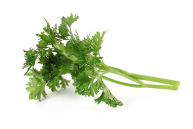 Beyaz maydanozlu taze maydanoz.