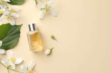 Bir şişe parfüm, güzel yasemin çiçekleri ve bej arka planda yeşil yapraklar. Metin için boşluk