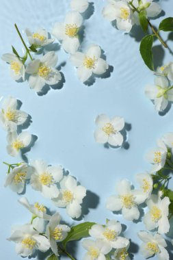 Güzel yasemin çiçekleri açık mavi arka planda suda, düz yatıyordu.