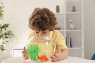 Akvaryumdaki balıklı küçük çocuk evdeki masada.