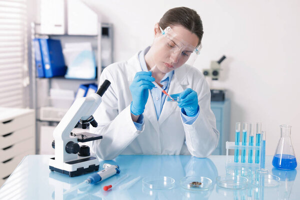 Scientist working with sample in Petri dish at table in laboratory